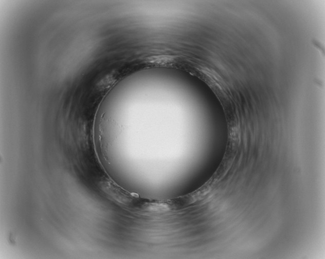 X0000095900572200802011131