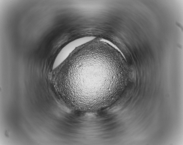 X0000095900573200802011131