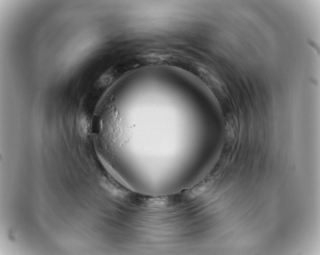 X0000095900574200802011131