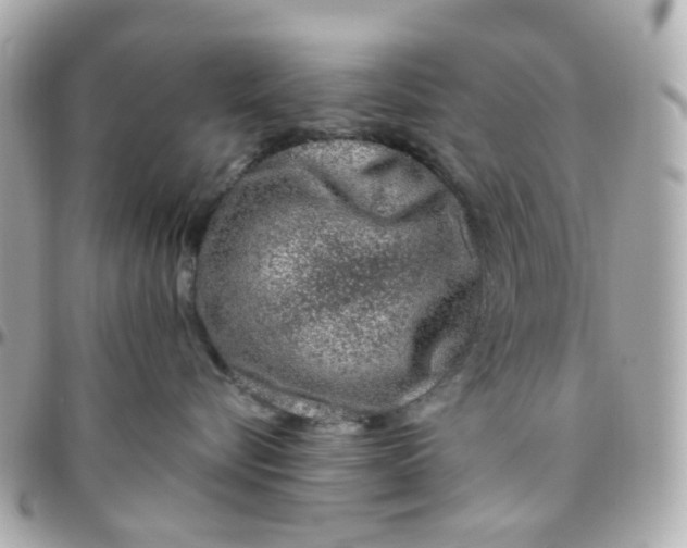 X0000095900576200802011131