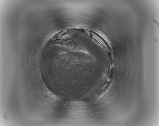 X0000095900577200802011130