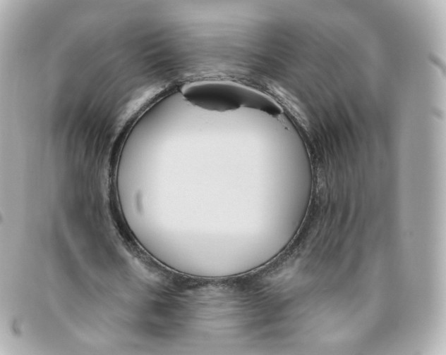 X0000095900578200802011130