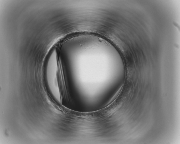 X0000095900580200802011130