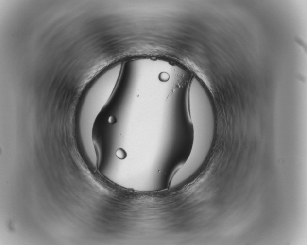 X0000095900581200802011130