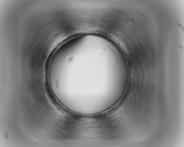 X0000095900582200802011130