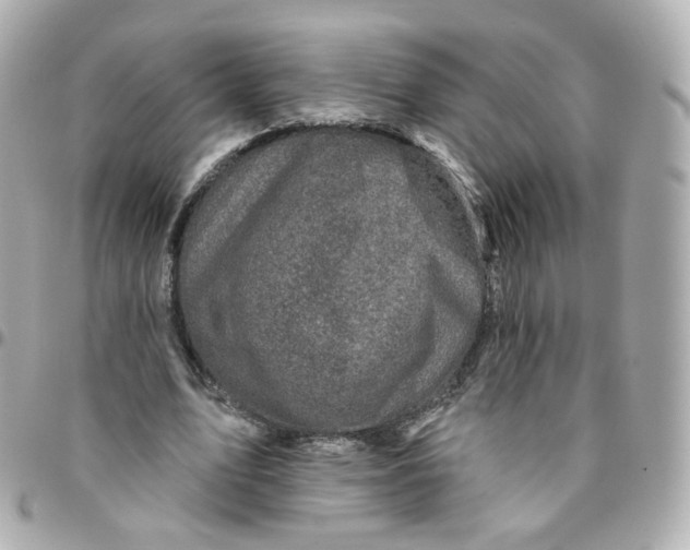 X0000095900583200802011130