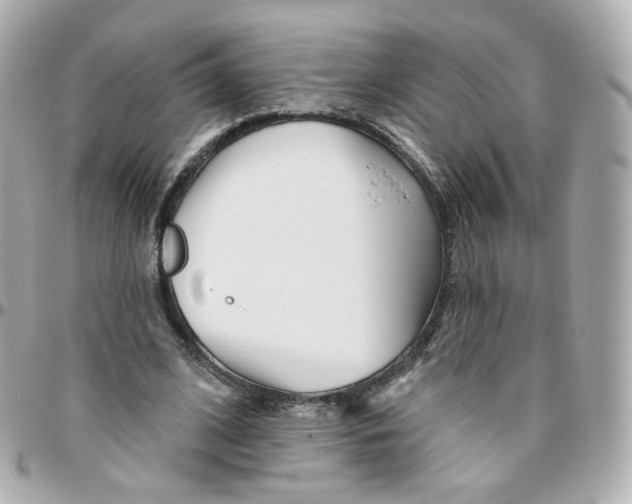 X0000095900584200802011130