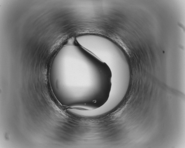 X0000095900585200802011130