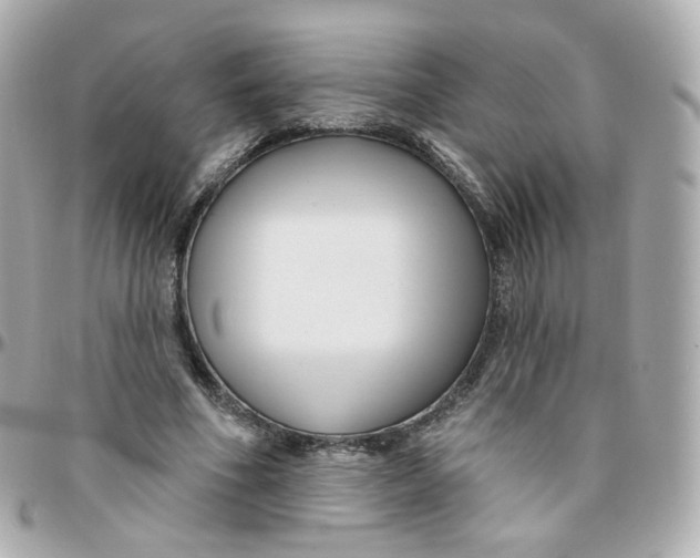 X0000095900586200802011130