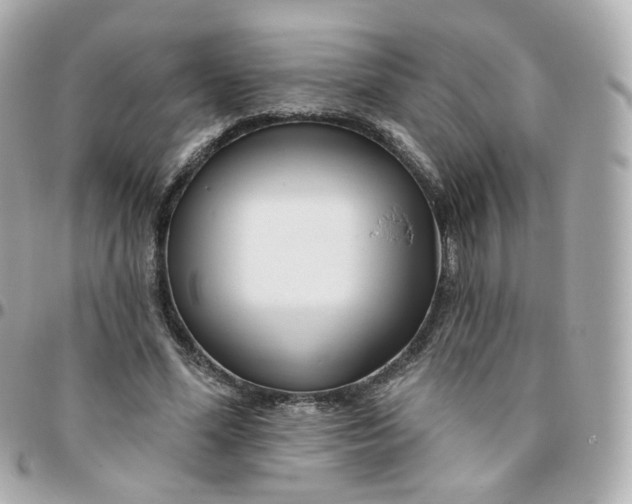 X0000095900588200802011130