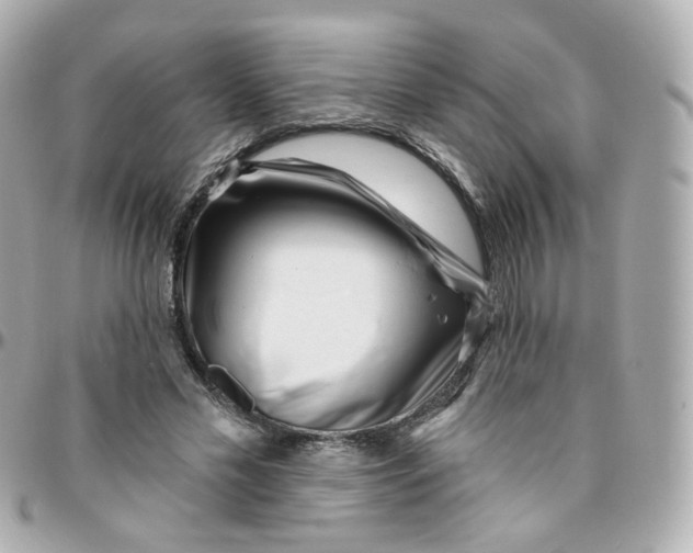 X0000095900589200802011130