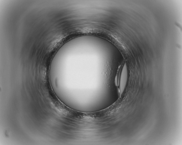 X0000095900592200802011130