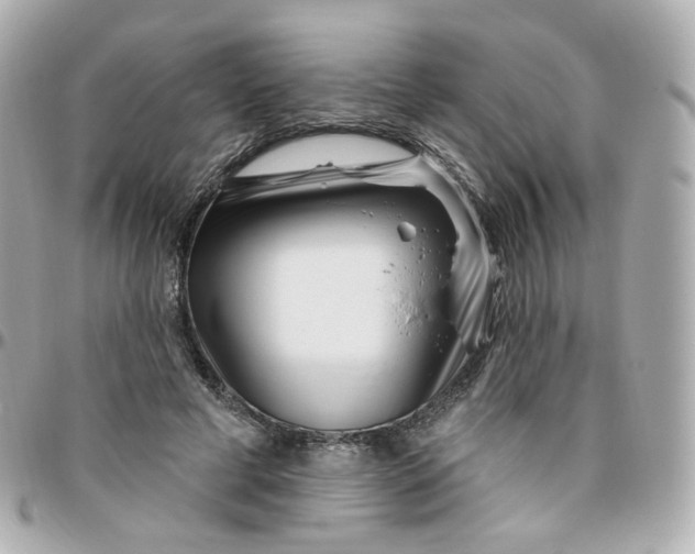 X0000095900593200802011130