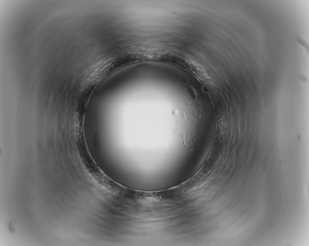 X0000095900594200802011130