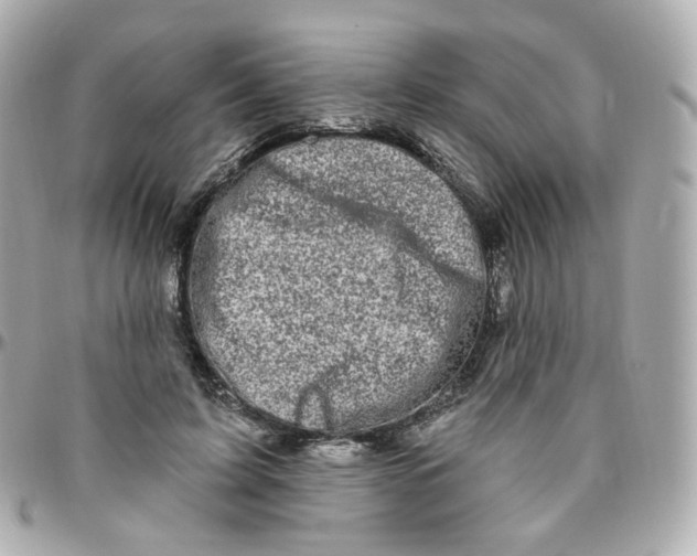 X0000095900595200802011130