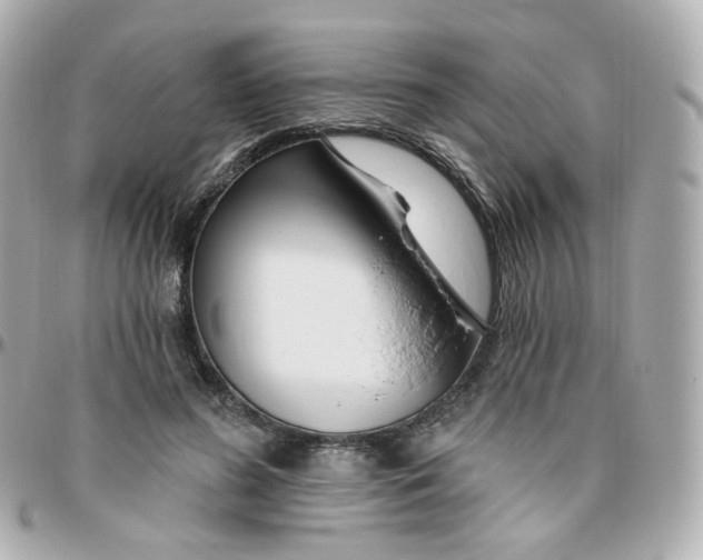 X0000095900596200802011130