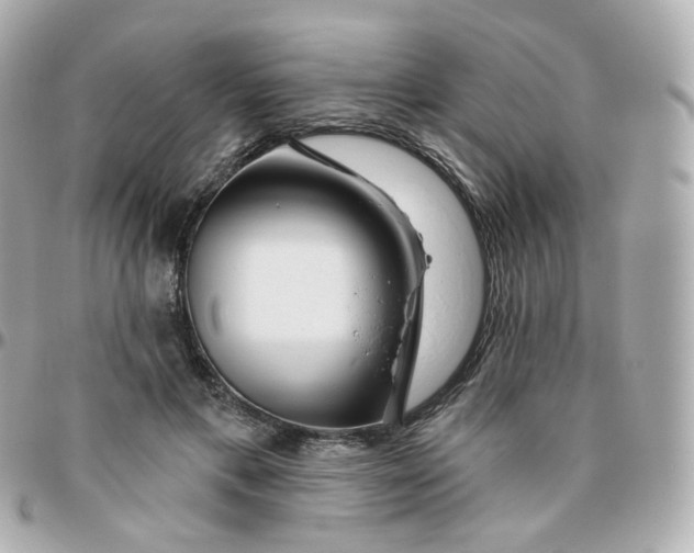 X0000095900597200802011130