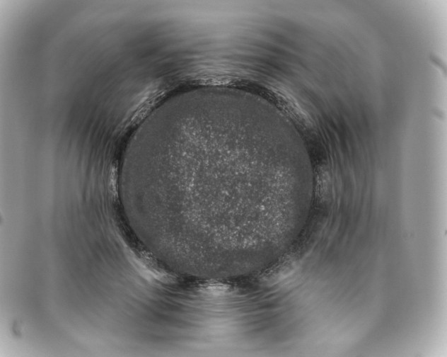 X0000095900598200802011130