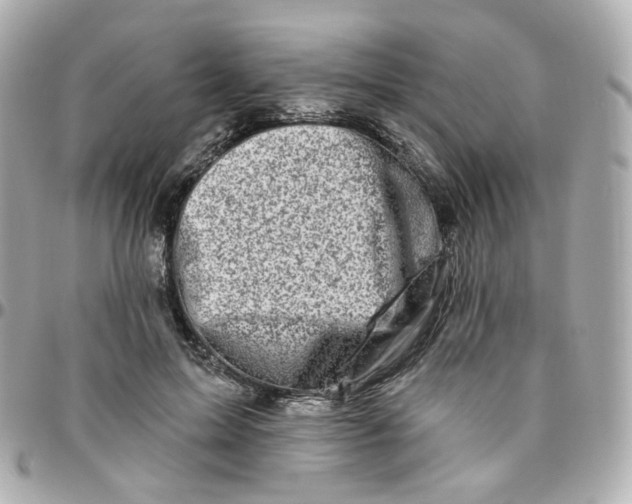 X0000095900599200802011130