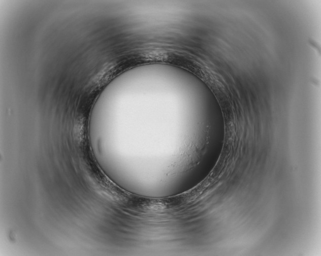 X0000095900600200802011130