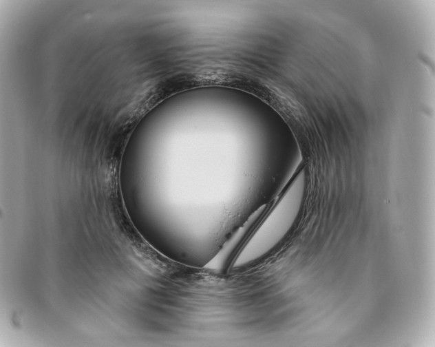 X0000095900601200802011130