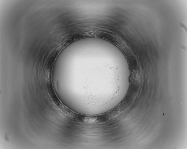 X0000095900602200802011130