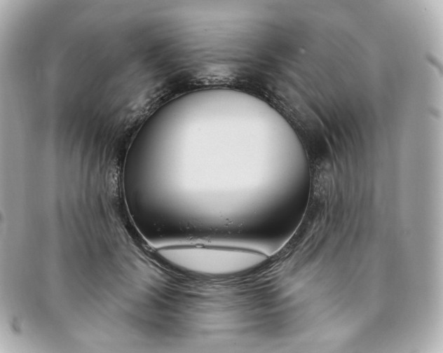 X0000095900604200802011130