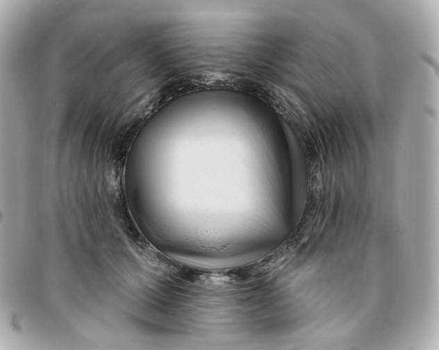 X0000095900607200802011130