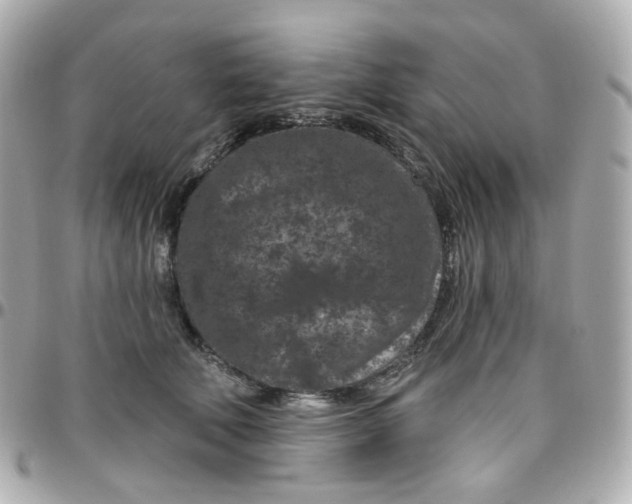 X0000095900610200802011130