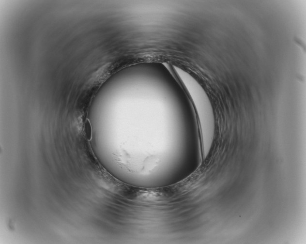 X0000095900611200802011130