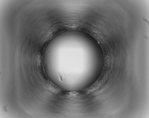 X0000095900612200802011130