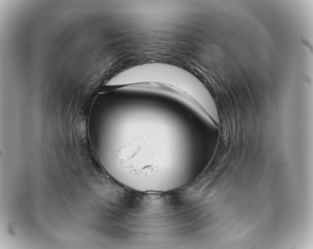 X0000095900613200802011130