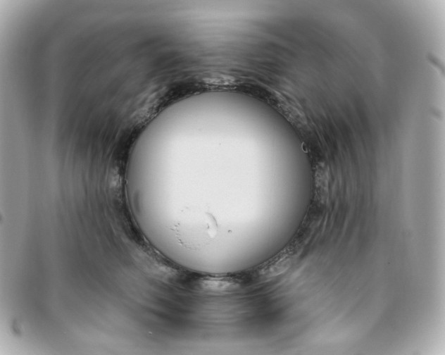 X0000095900614200802011130