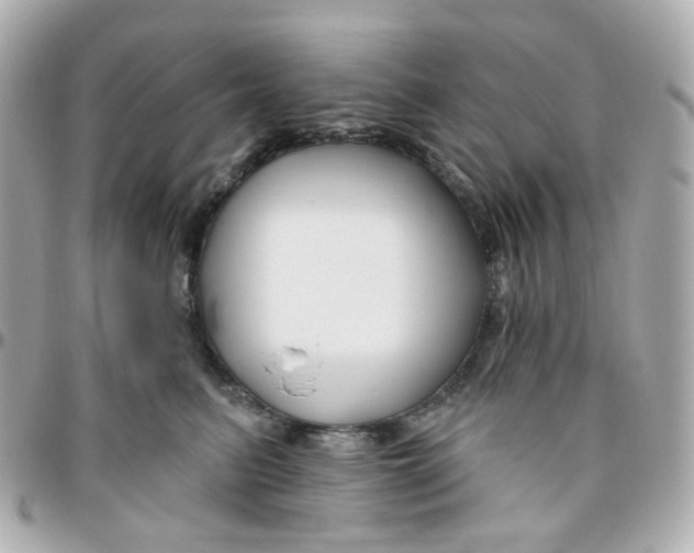 X0000095900615200802011130