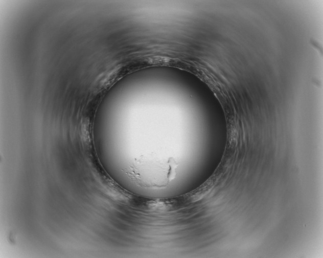 X0000095900616200802011130