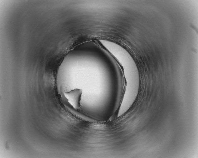 X0000095900617200802011130