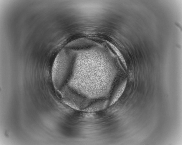 X0000095900618200802011130