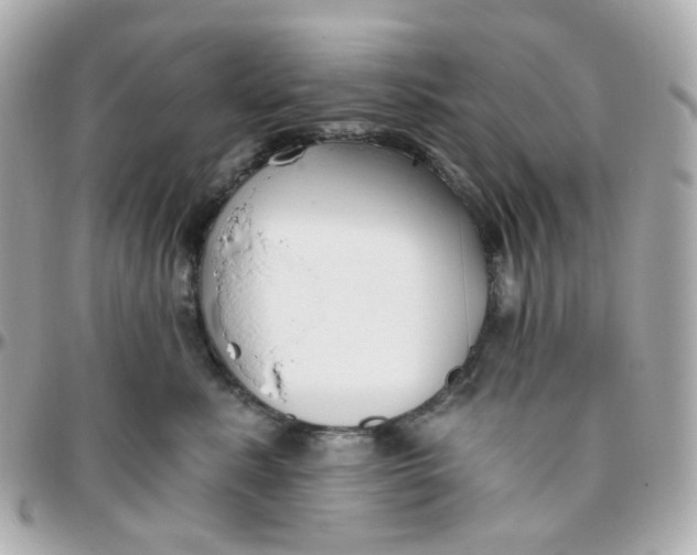 X0000095900619200802011130