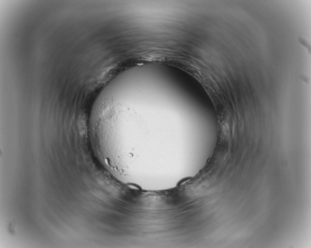 X0000095900620200802011130