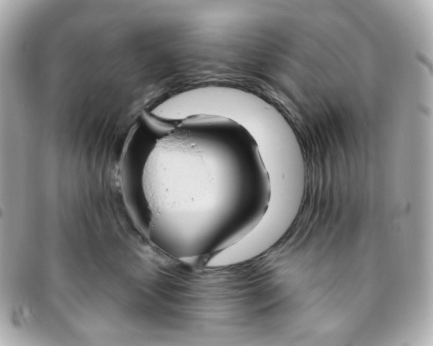 X0000095900621200802011130