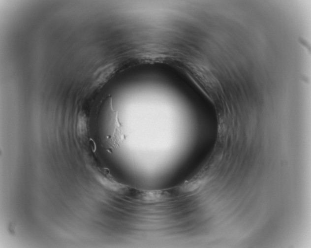 X0000095900623200802011129