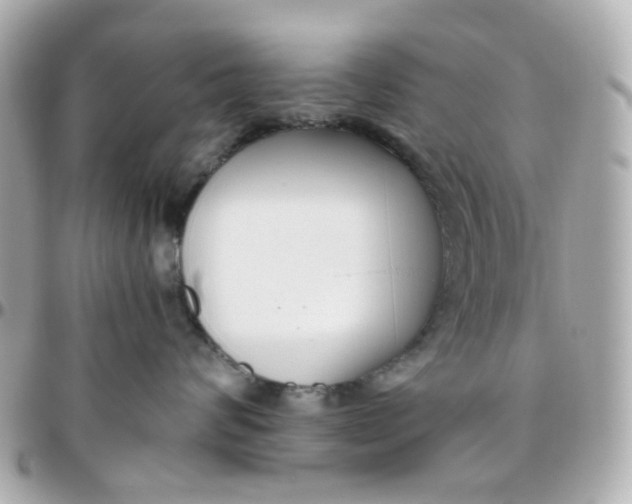 X0000095900624200802011129