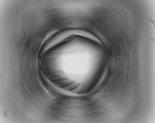 X0000095900626200802011129