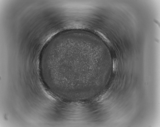 X0000095900627200802011129