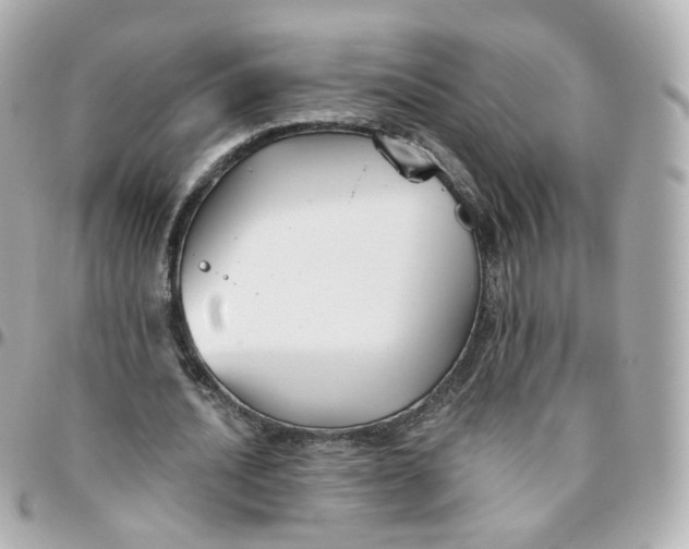 X0000095900628200802011129