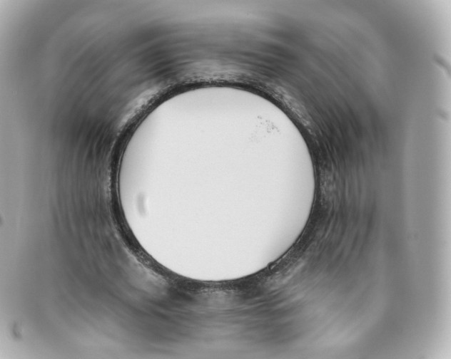 X0000095900629200802011129