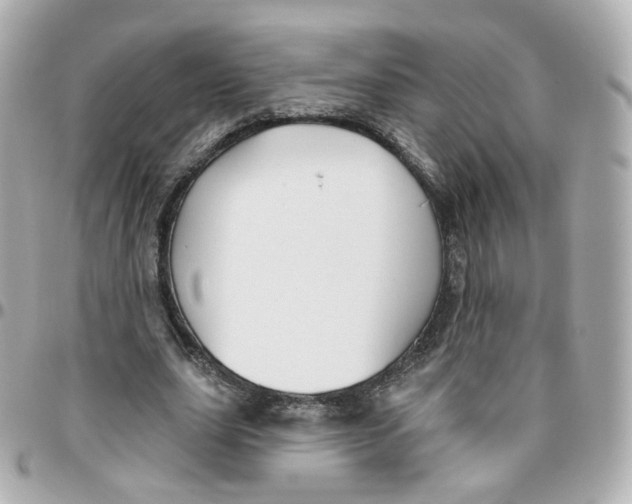 X0000095900631200802011129