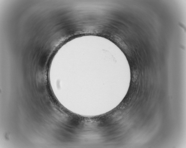 X0000095900632200802011129