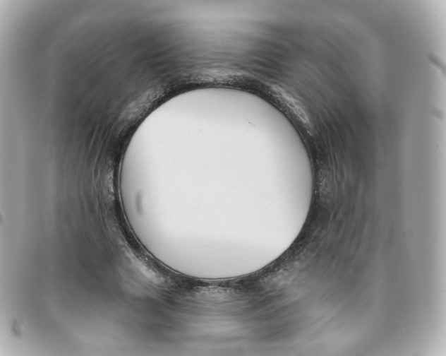 X0000095900633200802011129