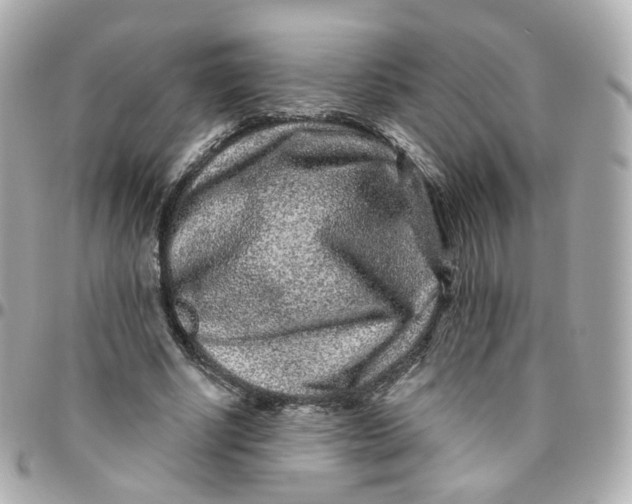 X0000095900634200802011129